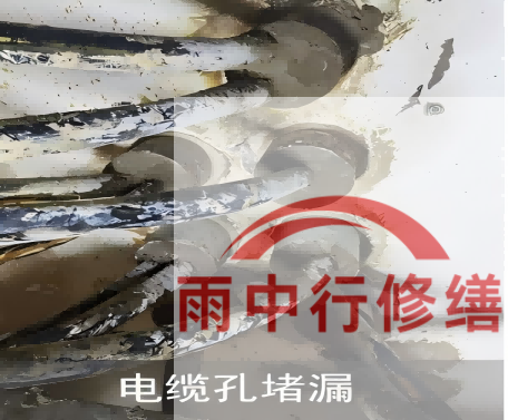 常州电缆线空洞堵漏加固案例