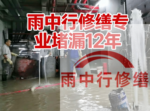 常州中国五矿某大型污水处理厂堵漏案例